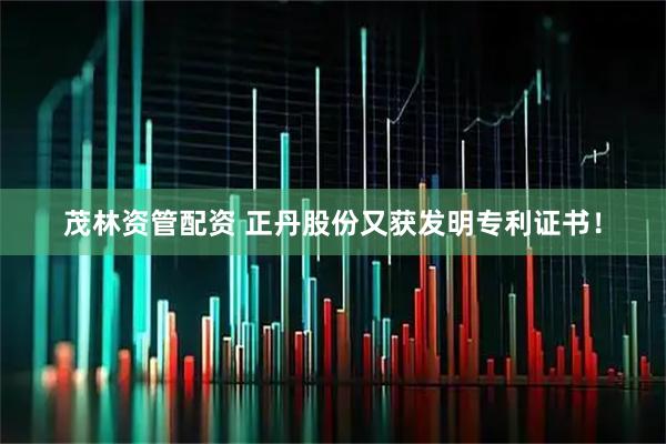 茂林资管配资 正丹股份又获发明专利证书！